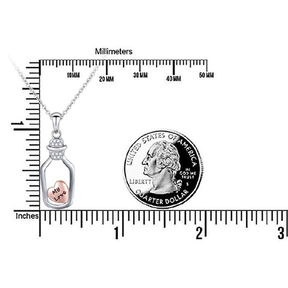 LOVE in a BOTTLE S925 Sterling Silver Necklace - Picture 5 of 5